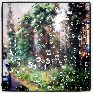 When you can't go outside for a photo, remember your home usually has windows.