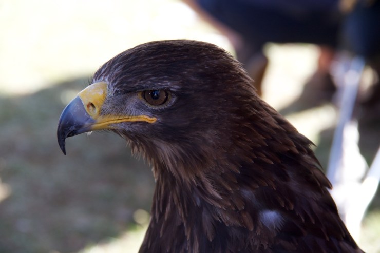 I'm watching him like a hawk.