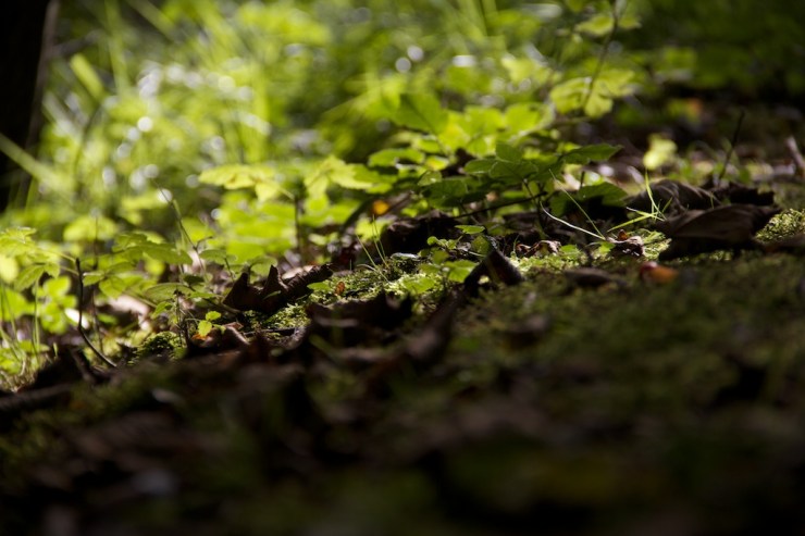 When the light hits it the right way, it almost looks presentable. Much like me in that respect.