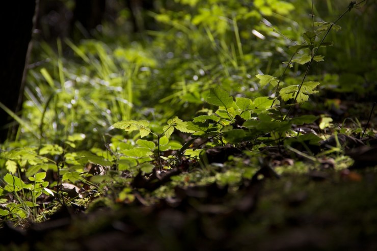 You can almost imagine the ants. In your pants. Still sitting comfortably?