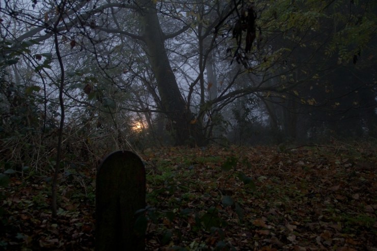 Who knows who might be buried there? A wife, a son, a hamster called Dave?