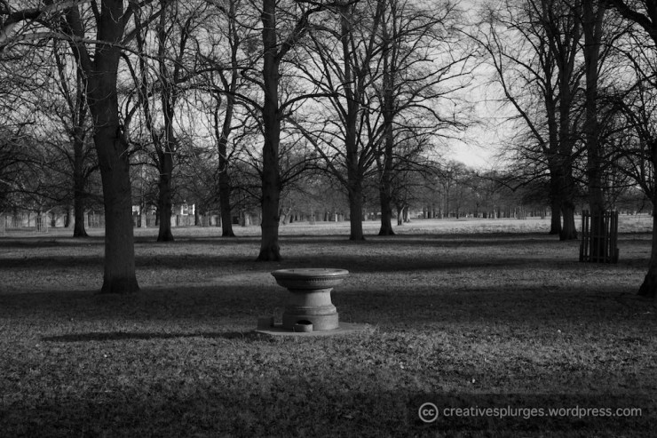 What the font? Or is it a sundial?