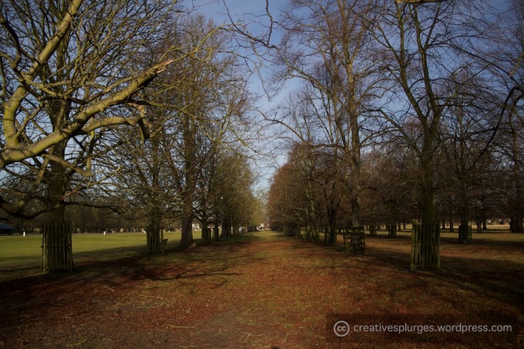 I started back there somewhere.