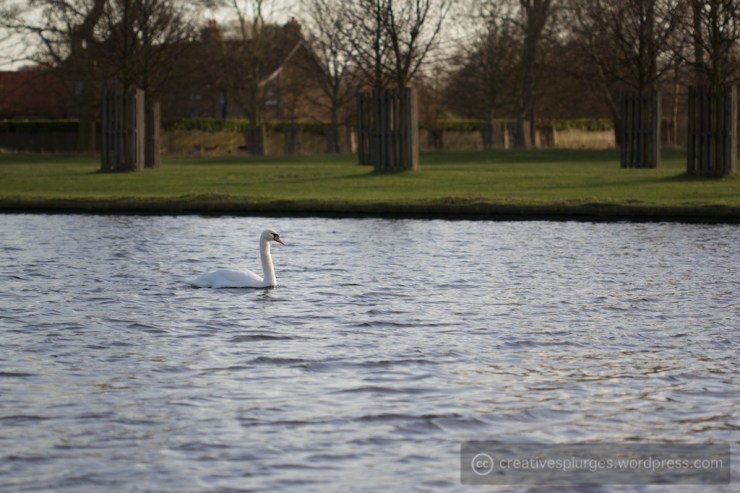 Ah yes. There definitely seems to be colour now.