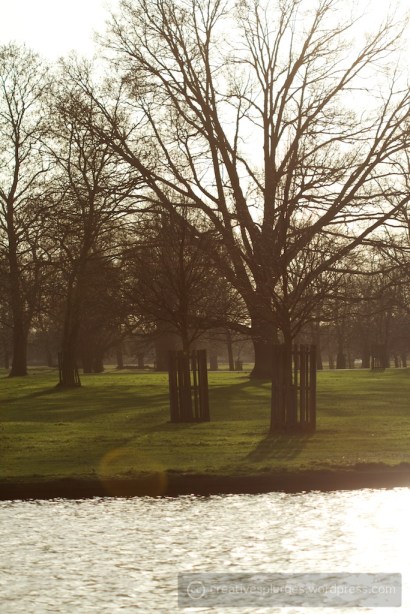 This is what trees looked like in days past.
