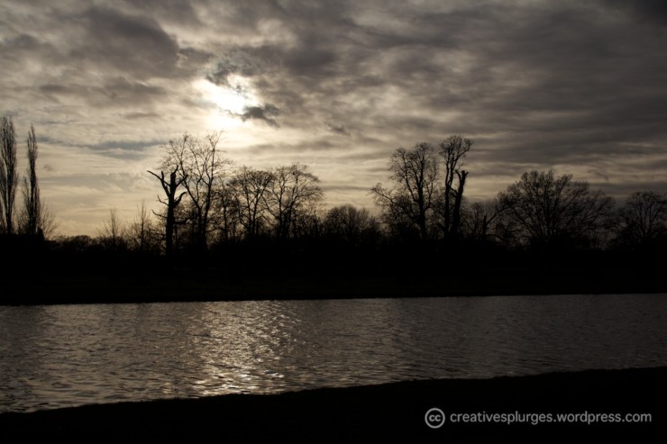 Sky, water, trees. Familiar.