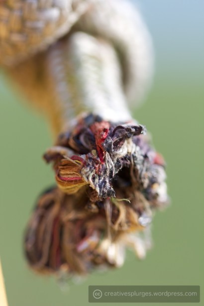 "No, I'm a frayed knot."