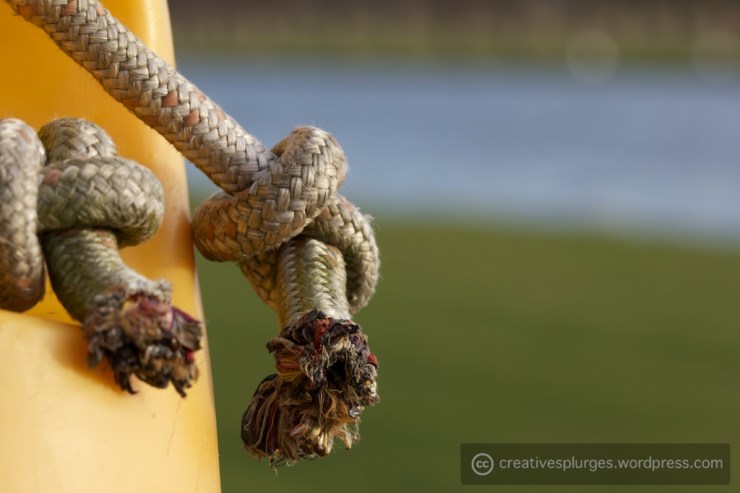 "No, I'm a - crap, I just made that joke, didn't I?