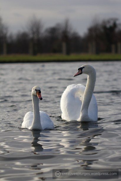 "Some day, my son, all this will be yours."