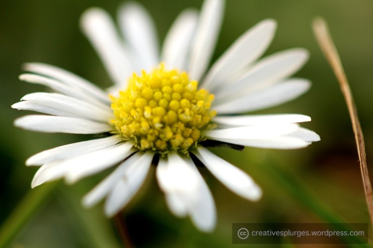 That's pretty fuckin' close.