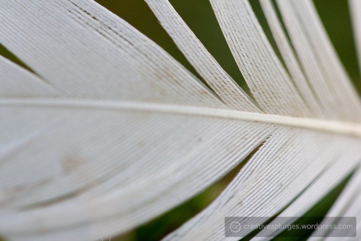 Does it tickle your fancy?