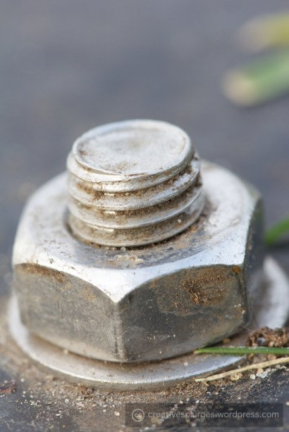 I can clearly see your nuts.