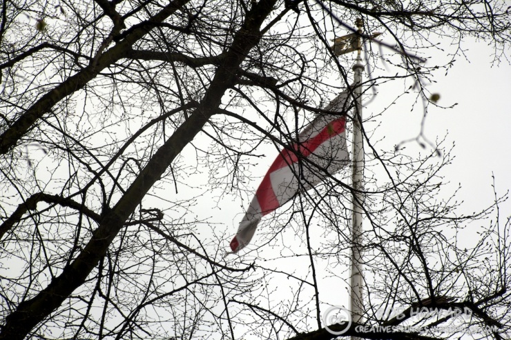 St George's Cross behind some branches