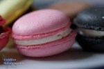 macro shot of a pink macaroon