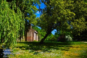 saturated, colourful image of a water house amongst trees