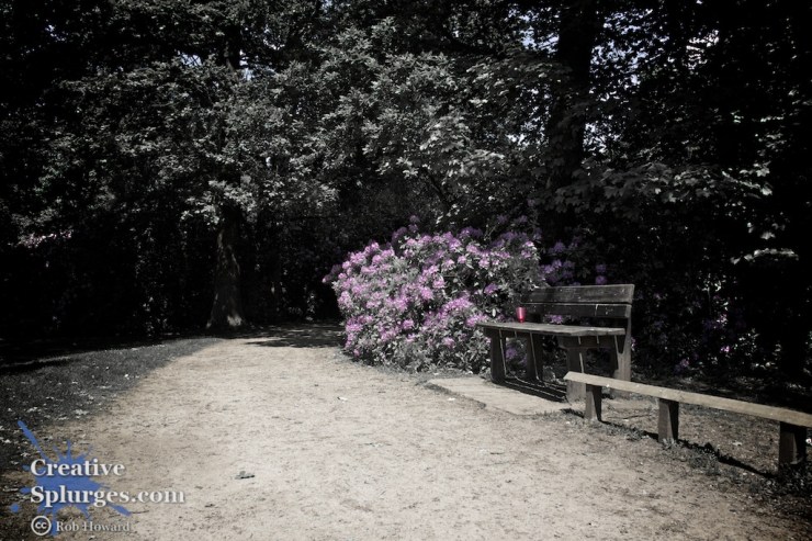 a bench in front of some partially desaturated flowers 