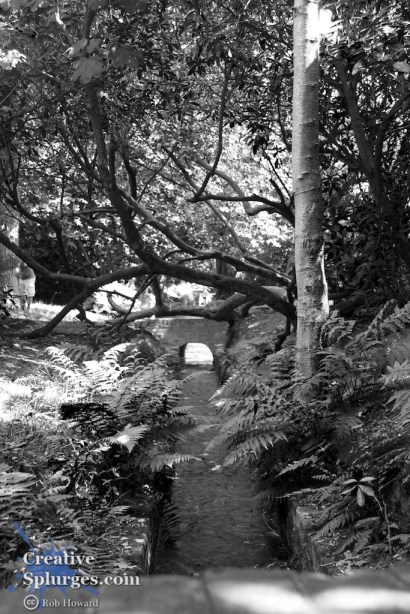 shot of a stream leading under a bridge