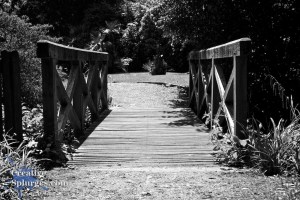 perspective shot of a bridge