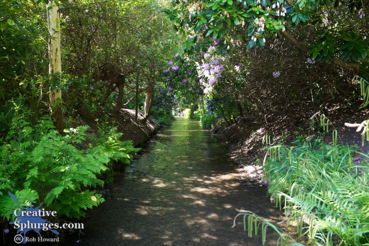 shallow stream on a sunny day shaded by trees