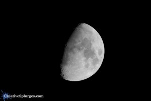 1/50sec, ISO 500