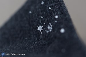 1/125sec, f/3.5, ISO 400, exposure bias -1.0, 100mm