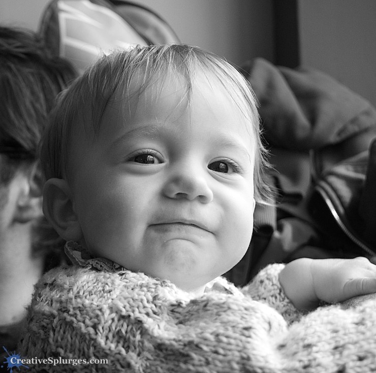 1/125sec, f/4, ISO 1600, 30mm (cropped)