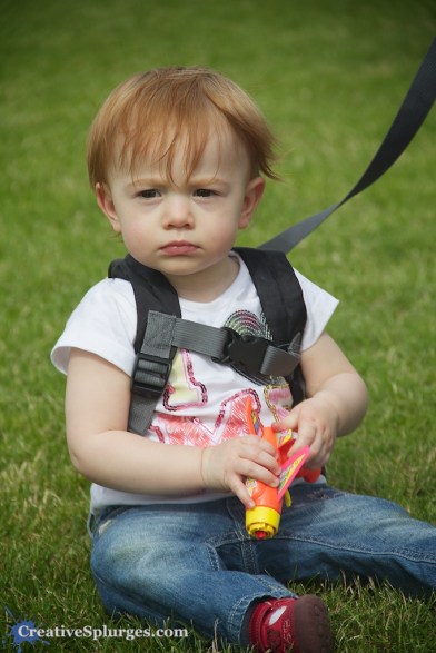 1/160sec, f/1.8, ISO 100, exposure bias +0.33, 135mm