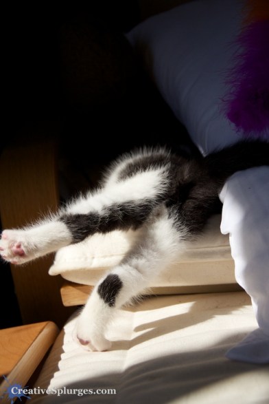 1/2500sec, f/5, ISO 400, 47mm