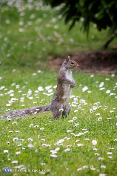 1/200sec, f/5.6, ISO 250, 300mm
