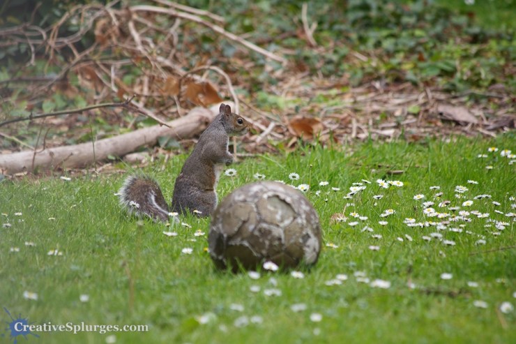 1/200sec, f/5.6, ISO 250, 300mm