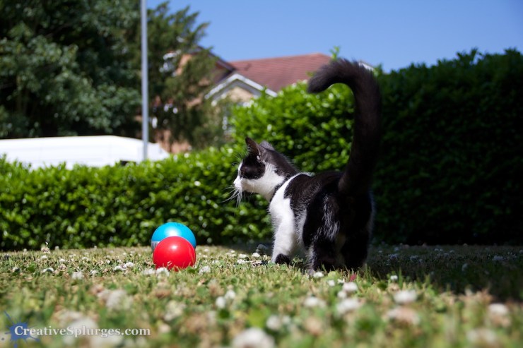 1/800sec, f/4.5, ISO 100, 36mm