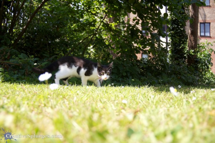 1/1000sec, f/3.5, ISO 320, 18mm