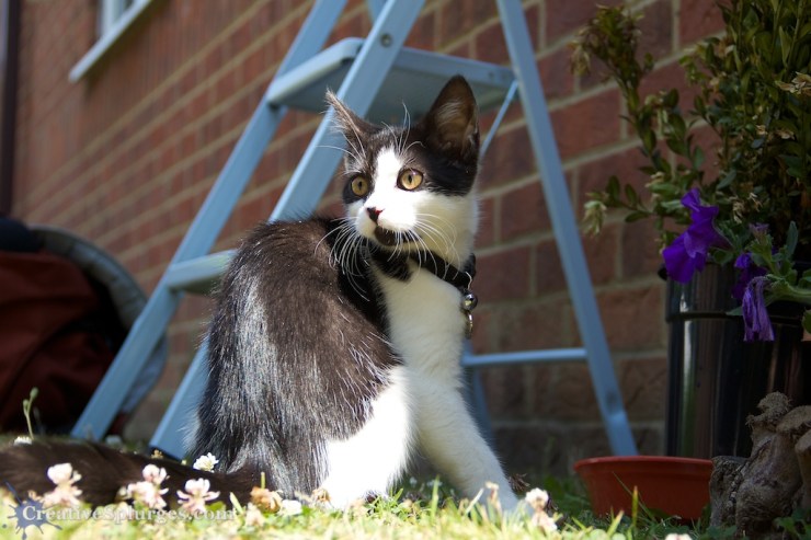 1/400sec, f/5, ISO 250, 47mm