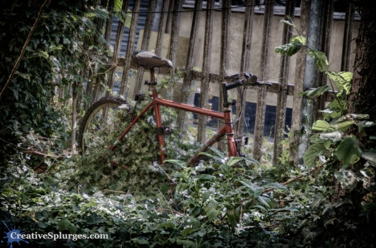 f/5.6, ISO 250, 100mm (HDR)