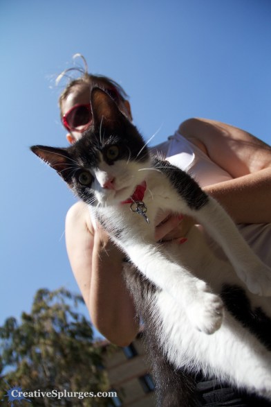 1/4000sec, f/3.5, ISO 320, 18mm