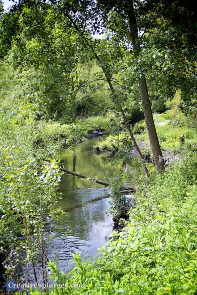 1/400sec, f/4.5, ISO 200, 39mm