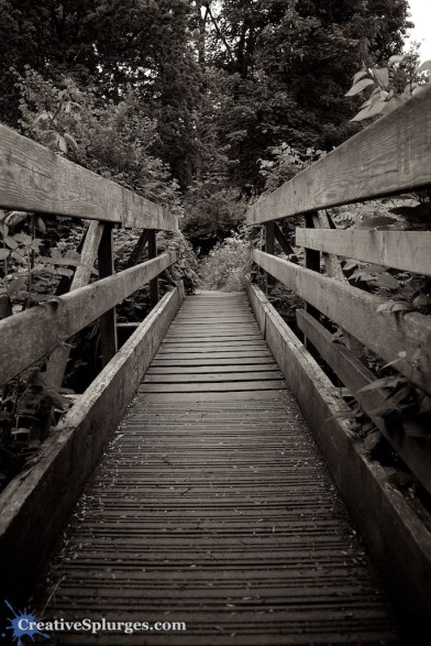 1/400sec, f/3.5, ISO 200, 18mm