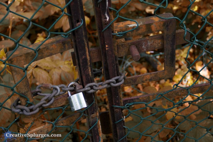 1/250sec, f/4.5, ISO 400, 39mm