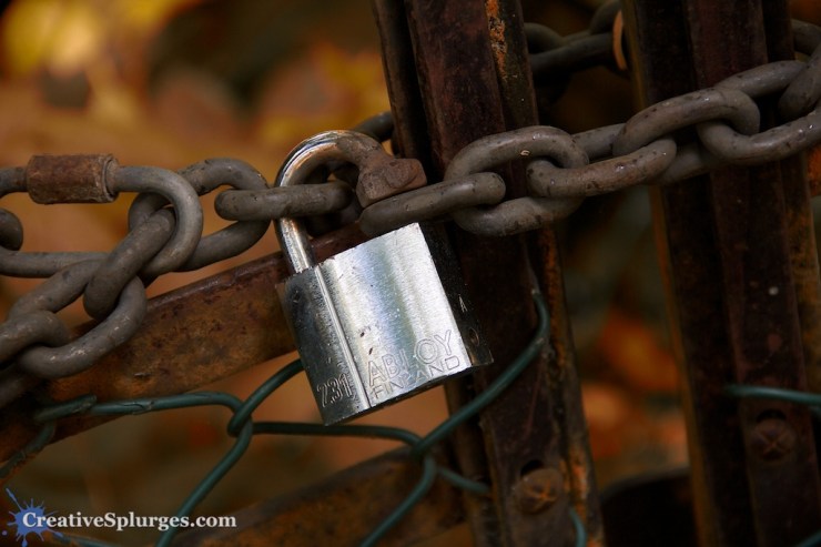 1/250sec, f/5.6, ISO 400, 92mm