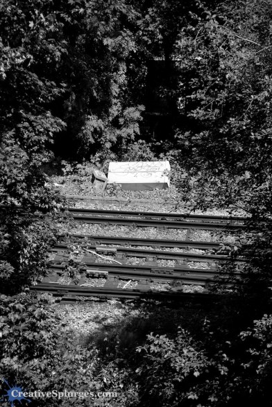 1/500sec, f/5, ISO 100, 60mm