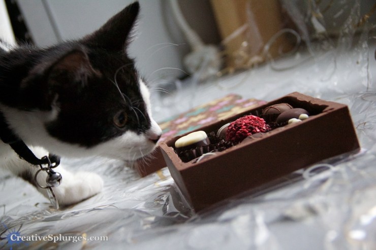 1/50sec, f/5, ISO 4000, 47mm