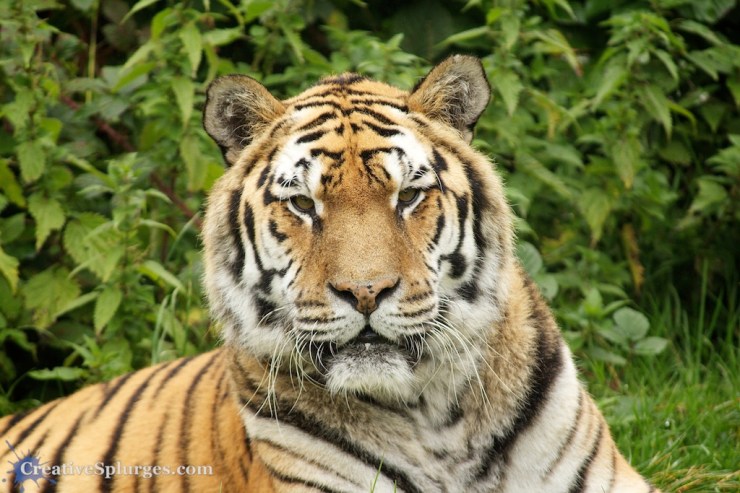 1/160sec, f/5.6, ISO 250, 300mm