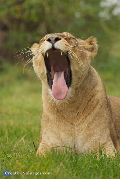 1/160sec, f/5.6, ISO 500, 280mm