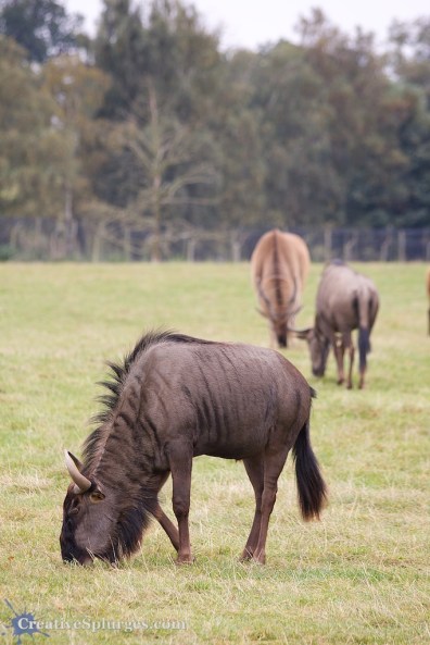 1/125sec, f/5, ISO 200, 170mm