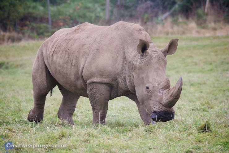 1/250sec, f/5, ISO 320, 180mm