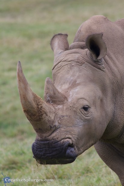 1/160sec, f/7.1, ISO 320, 300mm