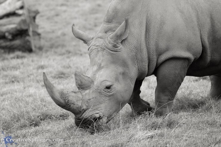 1/160sec, f/5.6, ISO 320, 180mm