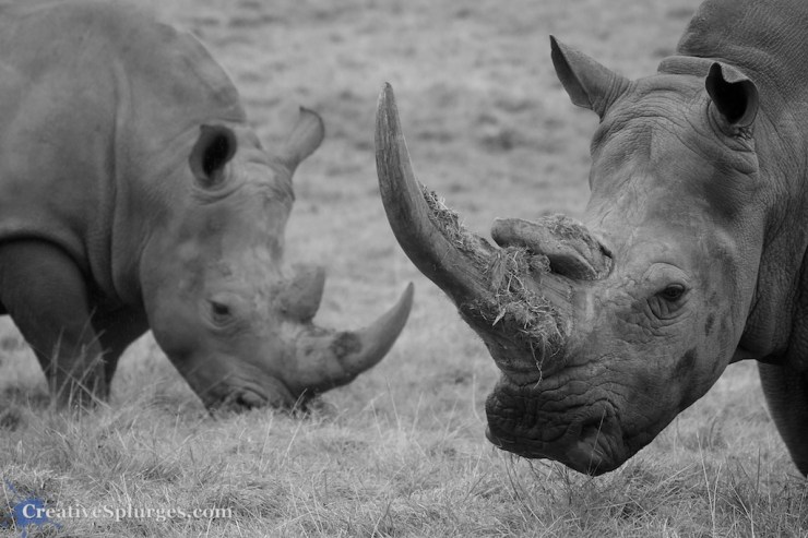 1/250sec, f/5.6, ISO 320, 180mm