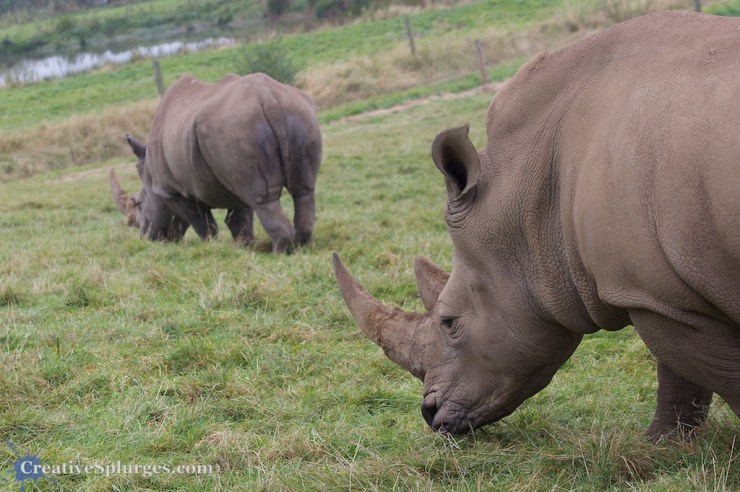 1/250sec, f/5.6, ISO 320, 70mm