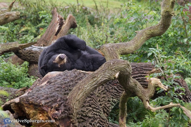 1/125sec, f/5, ISO 320, 160mm